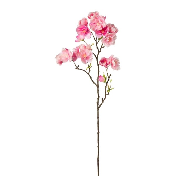 Gasper Kirschblütenzweig rosa