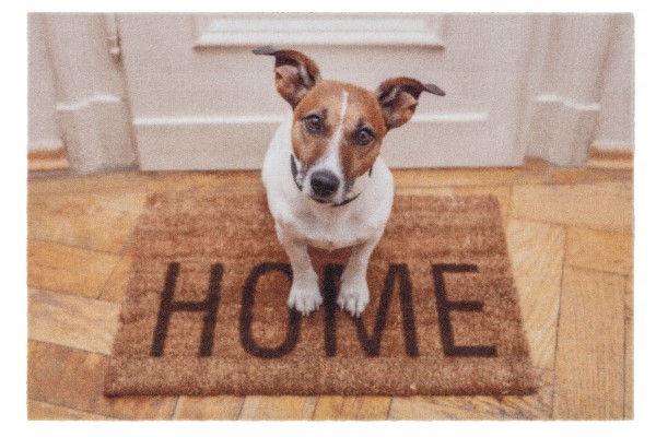 Sauberlaufmatte Deco Print Hund Home 40x60cm