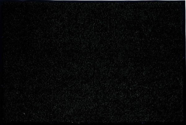 Fußmatte Proper Tex von Golze in schwarz 60x90cm